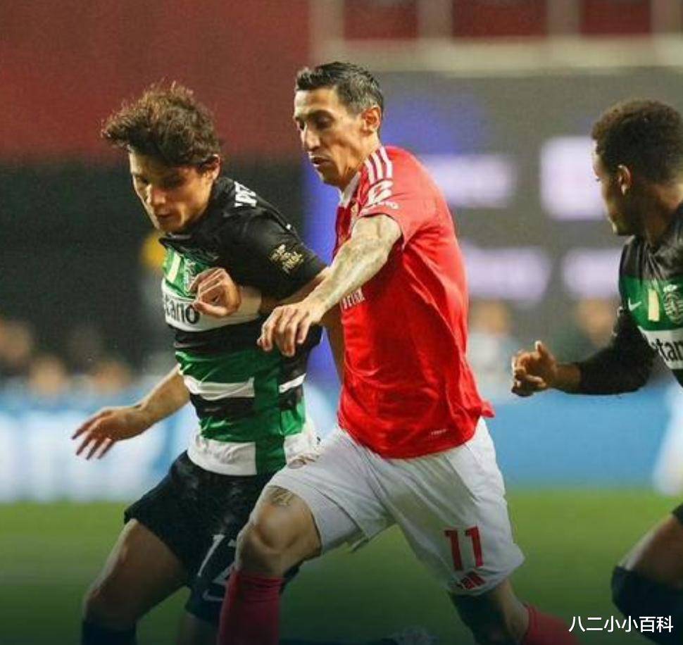 九游体育 -本菲卡关键战刷新队史纪录，志在全明星赛名次提升，态度坚定，医务组通报恢复的简单介绍