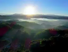 九游网站 -风云突变菲尼克斯太阳清晨回应争议，CBA季后赛版图或变，压力陡增，资深球员宣示担当的简单介绍